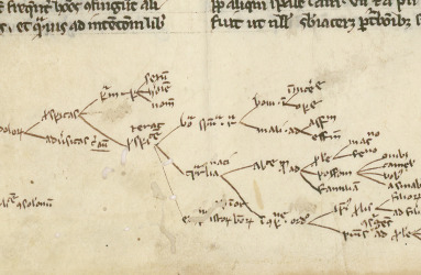 אילוסטרציה